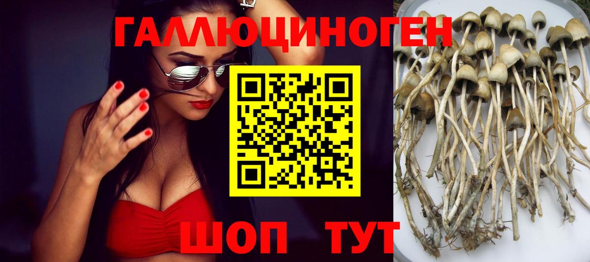 Псилоцибиновые грибы мицелий Лениногорск